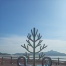 강화 석모도 칠면초 군락지 이미지