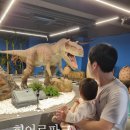 어른들의 책놀이터 | 부산 실내놀이터 히어로플레이파크 명지점 (+후기와 꿀팁)