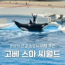 오사카 근교 소도시 아기랑 고베 스마 씨월드 예약 꿀팁 범고래쇼 공연시간 명당 총정리