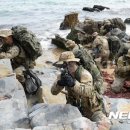해군제1함대사령부(3특전대대)