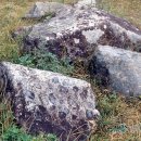 무주읍249 이미지