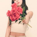 사진의계절