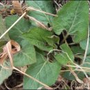 화창농원 이미지