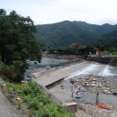 들꽃연가 이미지