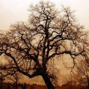 광교이마트 이미지