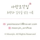 편백돈나무