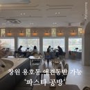 2399 | 창원용호동맛집 애견동반 가능한 '파스타공방' 솔직후기