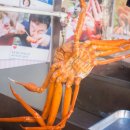 대게플러스 이미지