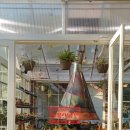 포레엠(Foret M) 이미지