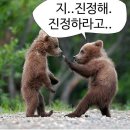 레이지베어 이미지