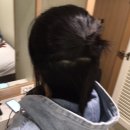 제주로베로아넥스 이미지