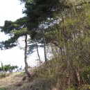 1053 | 전라도 정자詩로 만난 인물(1053)-심동구(沈東龜)