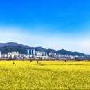 낙동강변 축구장 1 이미지