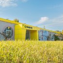 예술이네 이미지