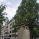 현대반포공인중개사사무소 이미지