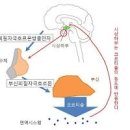 분노조절장애 원인 진단 이미지