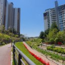 구봉1교 이미지