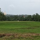 동물의왕국 미얀마 골프장 이미지