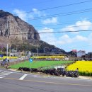 돈고팡산방산점