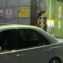 해피 데일리 이미지