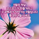 행복한 약초