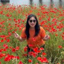 난타고고장구 이미지