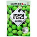 플럼마트 이미지