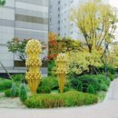 오늘투데이공인중개사사무소 이미지