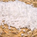 불암농장 이미지