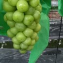 덕주농장 이미지