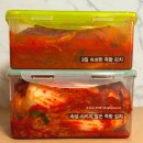 죽향참치 | 배추김치 추천 전라도 담양 죽향김치 5KG 솔직 후기
