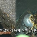 (주)아태정보