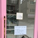 24시애견미용 이미지