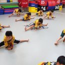 태권도키즈플레이 네이버블로그