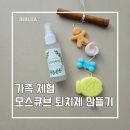 [여름특강] 여름을 건강하게 보내요(천연벌레퇴치제&버물리 만들기) | [대구 경북 단체 출강] 여름 필수! 모스 큐브 모기 퇴치 스프레이 만들기 가족 체험 특강