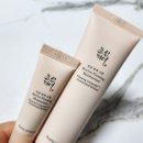조선미녀 인삼 탄력 크림 디렉터파이 레티놀 입문템 추천 사용후기