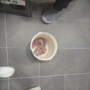 화순주택 | 전남 화순 단독주택 욕실 줄눈 시공후기 아덱스 줄눈 제거후 케라폭시 이지디자인 시공