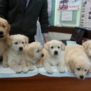 안녕하세요 이미지