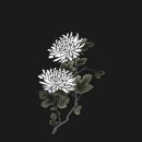 인화동-05 이미지