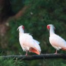 비슬산 풍경펜션 이미지