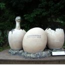 비봉화석지 이미지