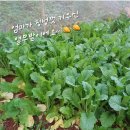 (주)맛드림푸드 이미지