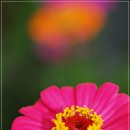 인의초등학교 이미지