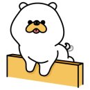 꽃보다 멍 이미지