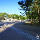 성포예술광장1 이미지