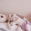 서진상재