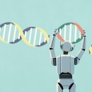 STAY PET SHOP 이미지