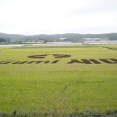 나경이의 추석 보내기 이미지