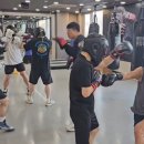 판교스타복싱 이미지