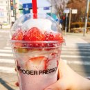 요거프레소한세대점 | 요거프레소 "메리딸기"